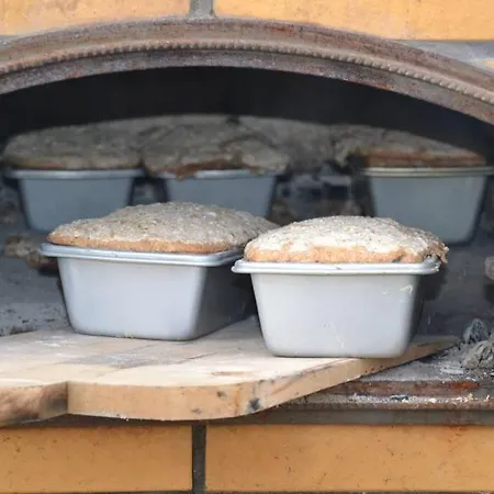 Zielono Mi - W Lapalicach *