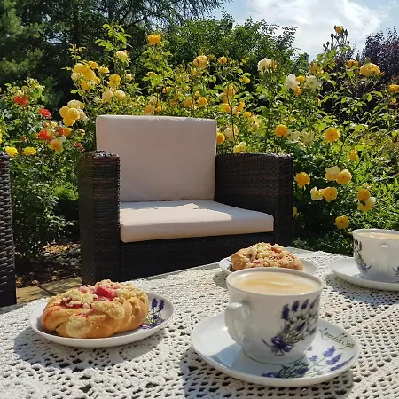 Zielono Mi - W Lapalicach