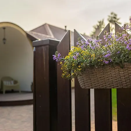 Zielono Mi - W Lapalicach Lapalice