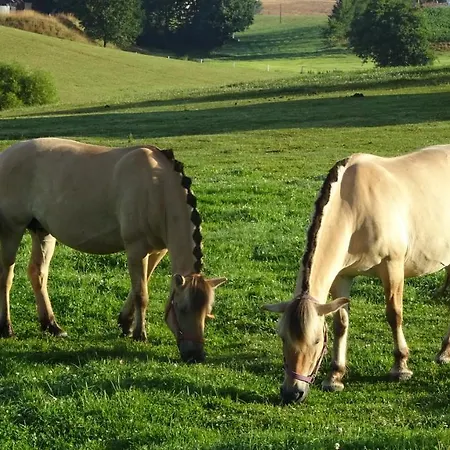 Zielono Mi - W Lapalicach
