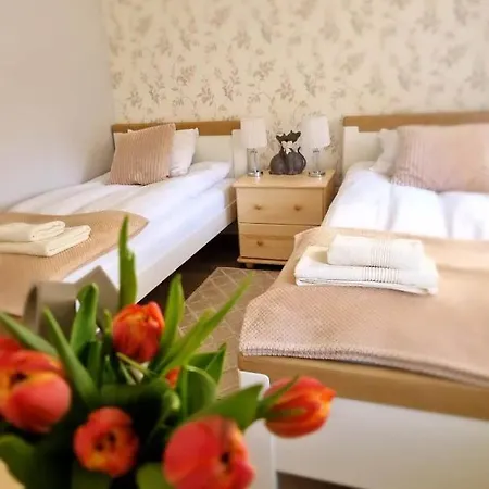 Zielono Mi - W Lapalicach *