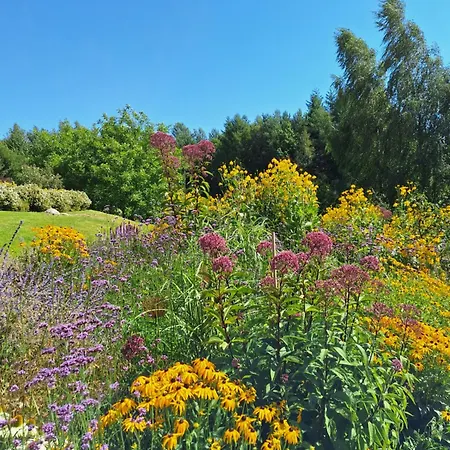 Zielono Mi - W Lapalicach Σπίτι διακοπών *