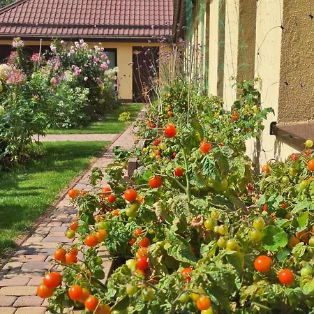 Σπίτι διακοπών Zielono Mi - W Lapalicach *