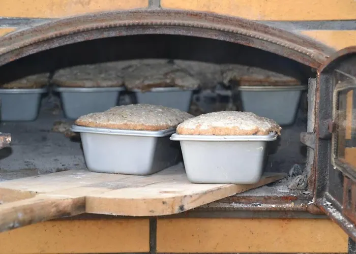 Zielono Mi - W Lapalicach *