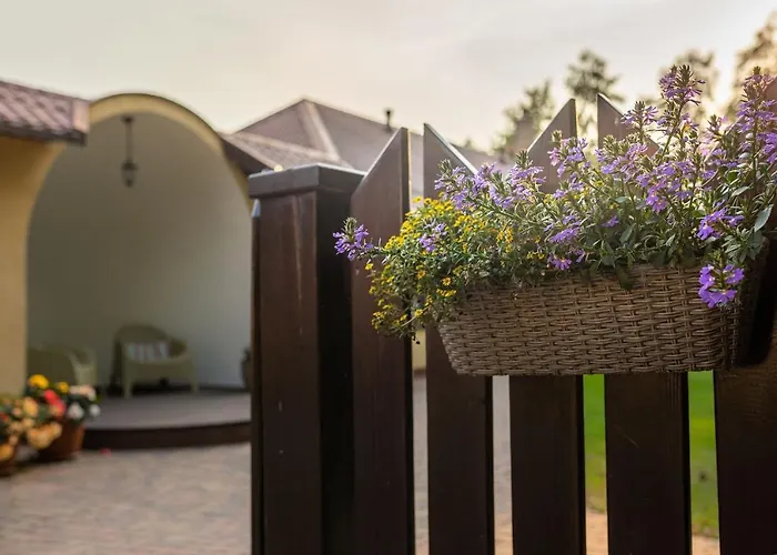 Zielono Mi - W Lapalicach Lapalice