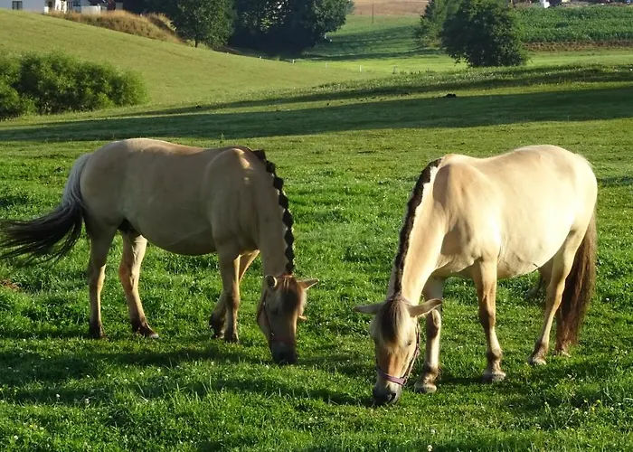 Zielono Mi - W Lapalicach