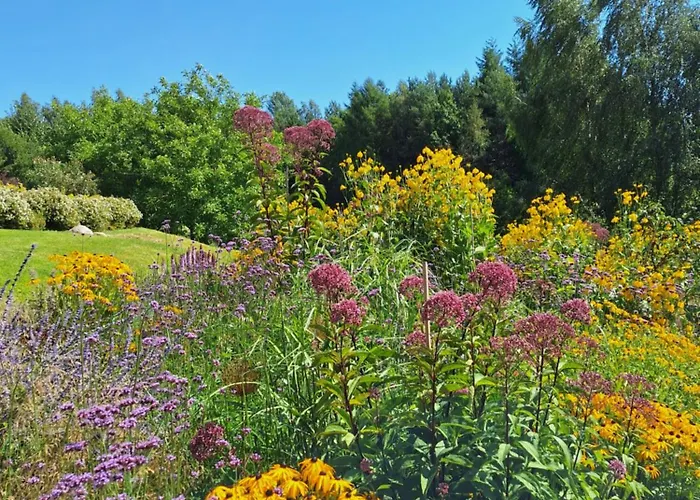 Zielono Mi - W Lapalicach Prázdninový dům *