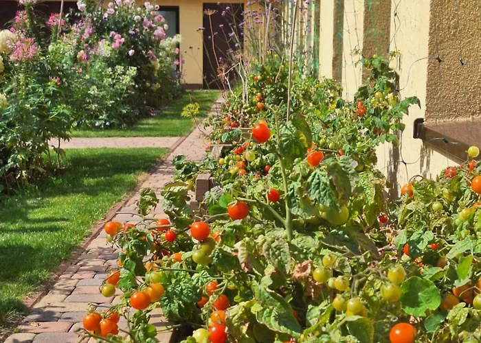 Prázdninový dům Zielono Mi - W Lapalicach *